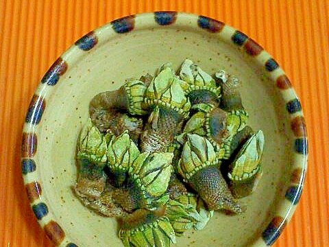 亀の手の塩茹で レシピ 作り方 By テツオ63 楽天レシピ 亀の手の塩茹で レシピ 作り方 By テツオ63 楽天レシピ